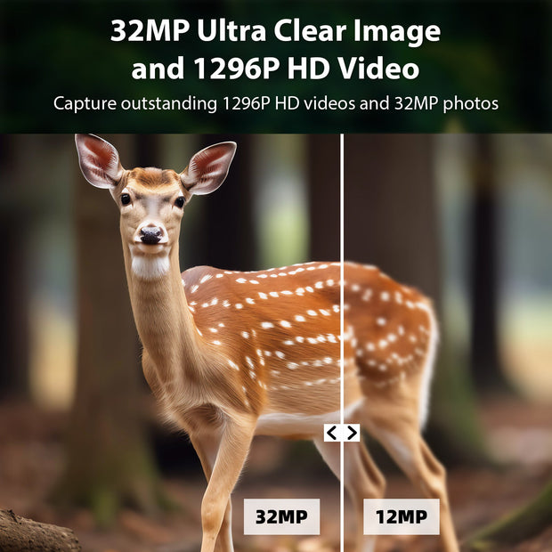 WildKamera 1296P Video & 32MP Foto mit 100ft Nachtsicht Bewegung aktiviert 0,1s Auslösegeschwindigkeit wasserdicht für Home Security, Outdoor Wildlife Scouting | T306 Grün